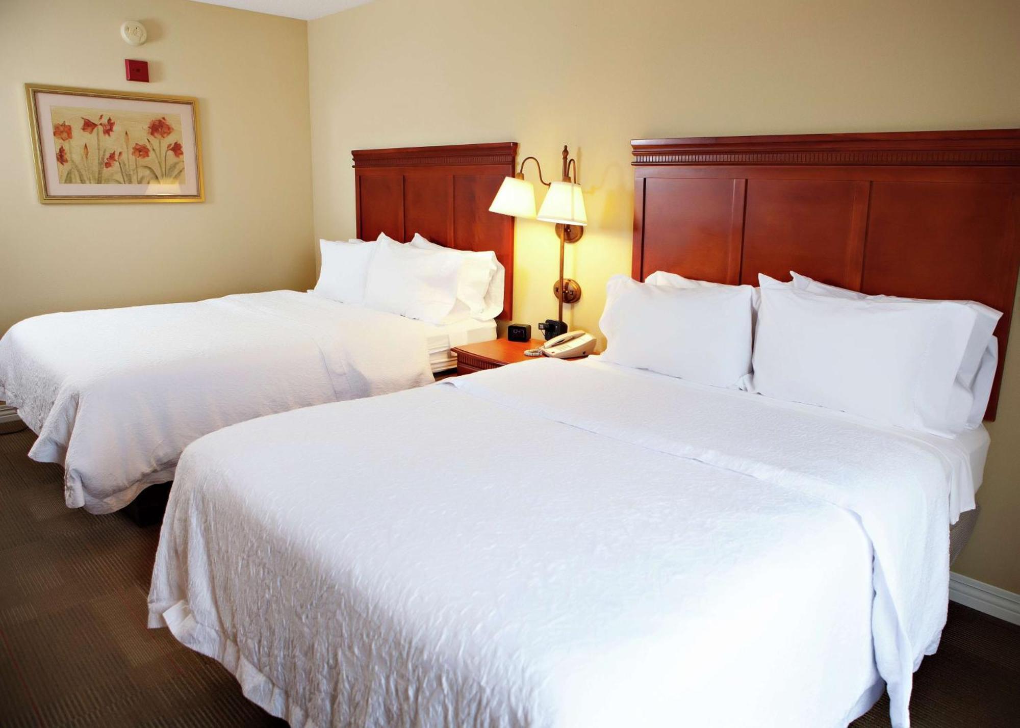 Hampton Inn Martin Εξωτερικό φωτογραφία